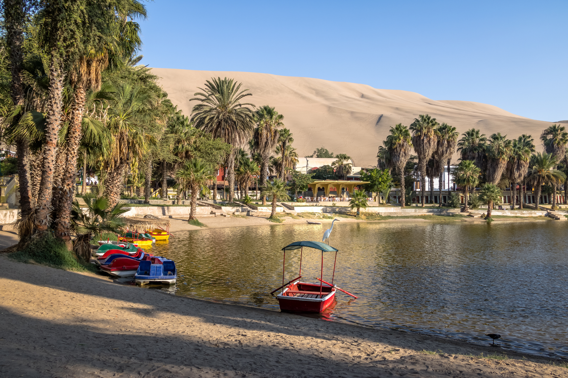huacachina (4).webp